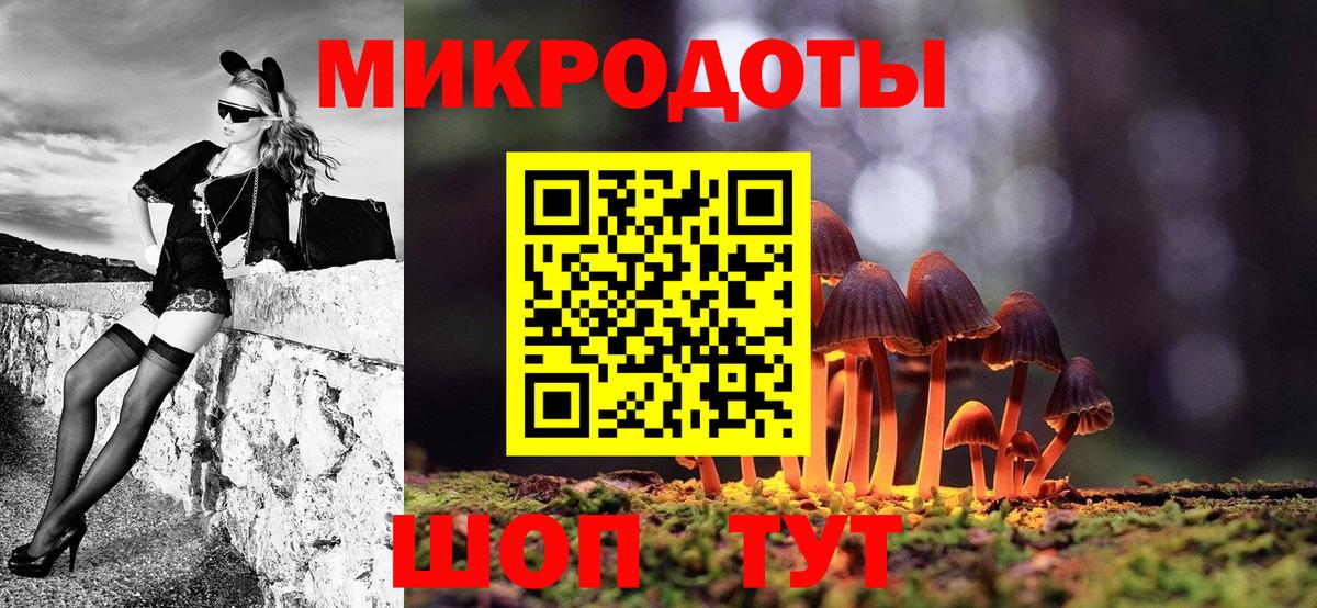 Всеволожск  Псилоцибиновые грибы Psilocybine cubensis  Вход с VPN 